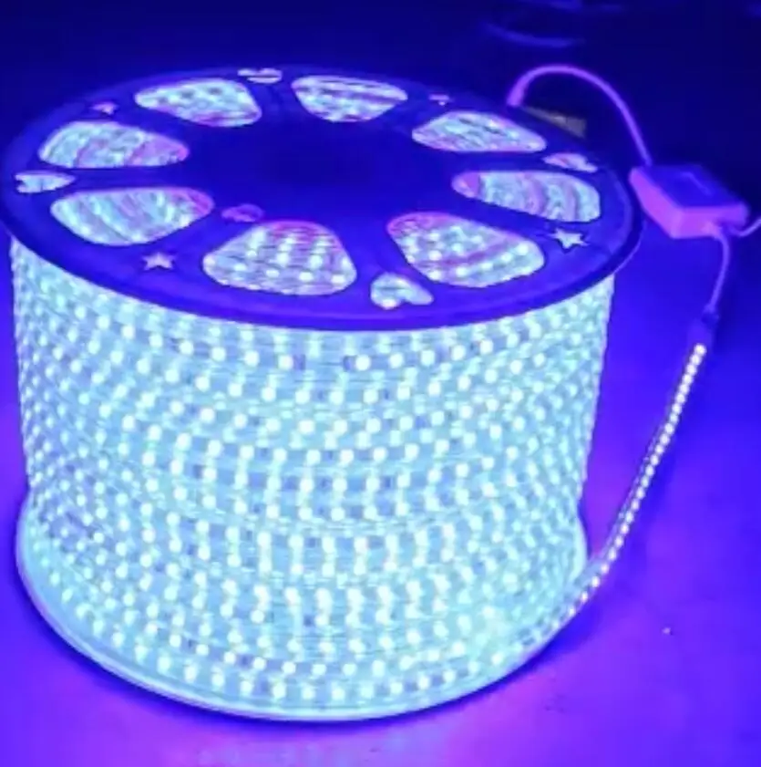 Светодиодная лента 220 5050 В 50 м 100 IP67 водонепроницаемая двухцветная RGB веревка для