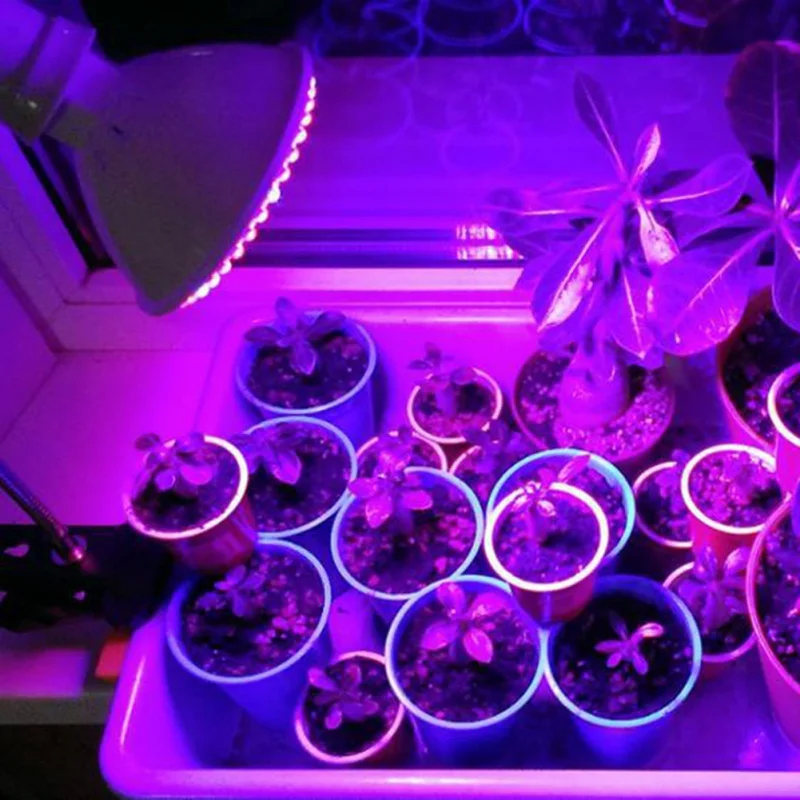 

2019 Full Spectrum Led Grow Light Red Blue UV IR Led Growing Lamp For Hydroponics Flowers Plants Vegetables