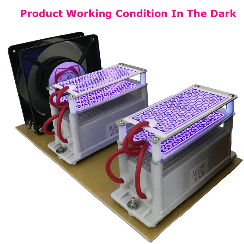 Portable Ceramic Ozone Generator 220V/110V 20g Double Integrated Long Life Ceramic Plate Ozonizer Air Water Air Purifier