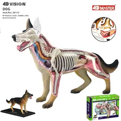 Собака 4d мастер головоломка Сборка игрушки животных биология орган анатомическая модель для медиков обучающая модель