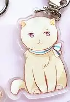 Animation Axis power Hetalia world Wrinkle Neko So Cute Key Holder Брелок с двойным принтом, брелок с подвеской