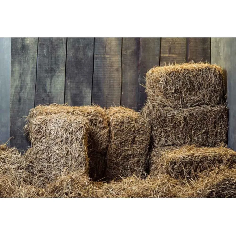 

Laeacco Fade Wooden Boards Wall Haystack Portrait Scene Baby Children Photographic Background Photography Photo Backdrops Studio