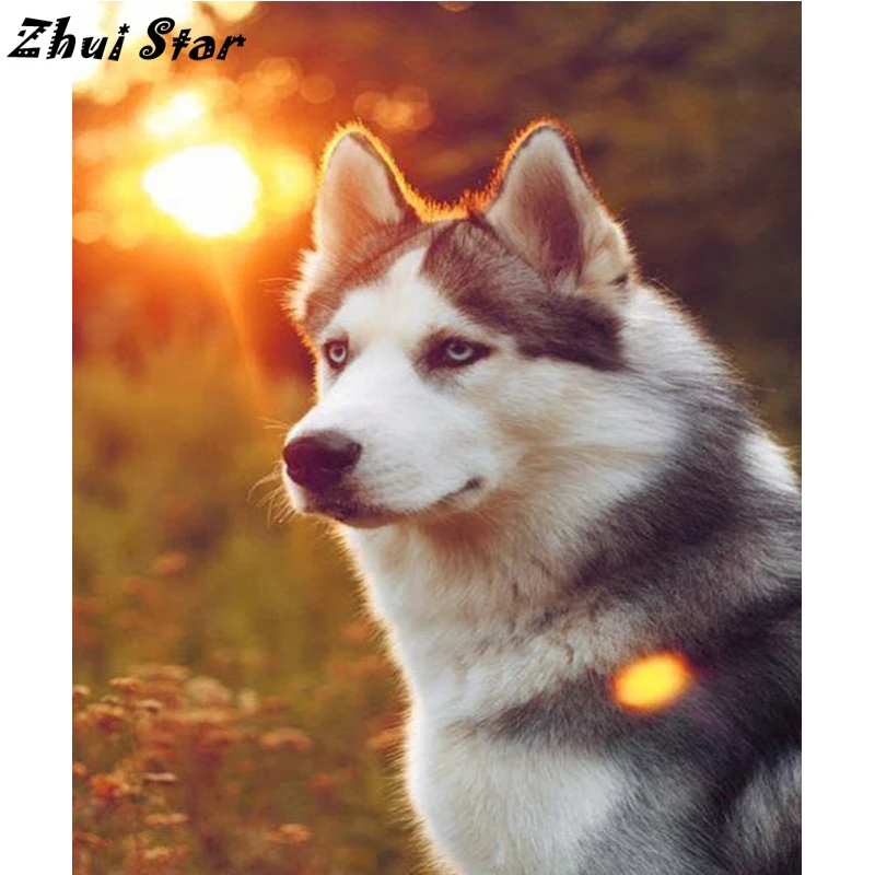 

NEW Diamond Embroidery 5D DIY Diamond Painting Husky Dog Animal House Diamond Painting Cross Stitch Rhinestone Mosaic FC791