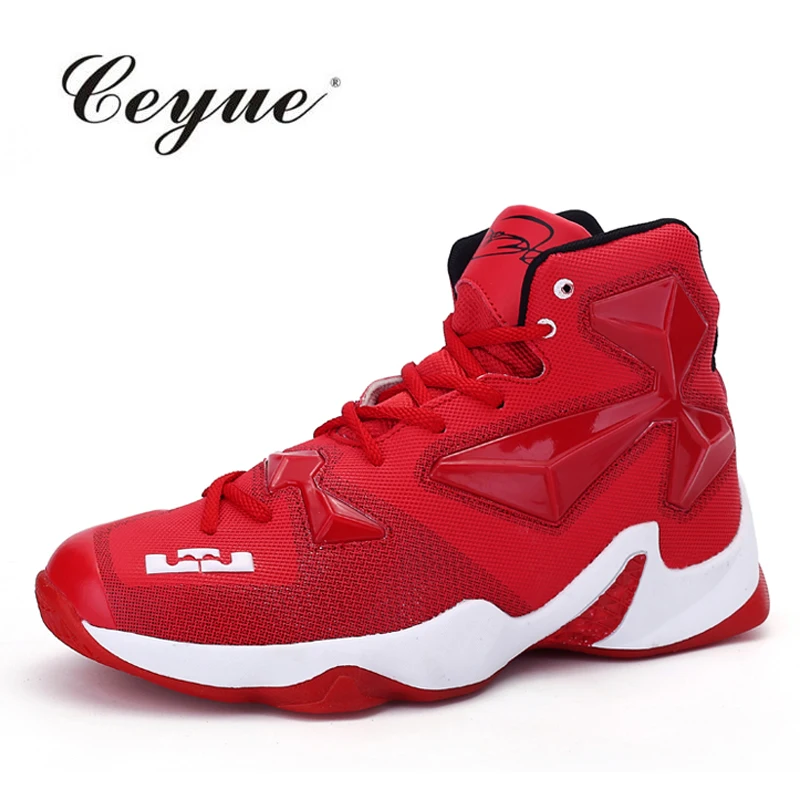 james lebron shoe size