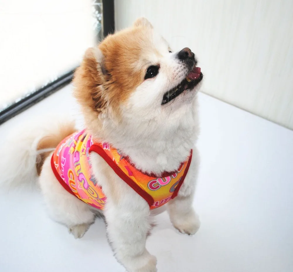 10886048398_361259826