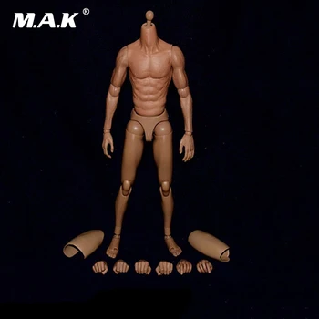 

12 Inches Male Narrow Shoulder Muscular Bodies Asian Color for 1/6 Scale Mens Heads