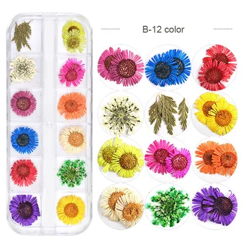 

Nail art decoration 12 colors/box dry flower small daisy starry sky natural plant 3D Floral Slices Decal nail art sticker MZ047