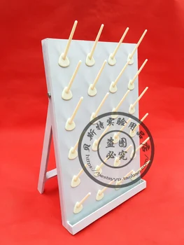 

Acid and alkali resistant plastic bottle rack hanging bottle rack hanging bottle rack hanging laboratory drip rack drainboard