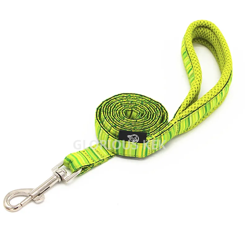 Dog Leash (5)