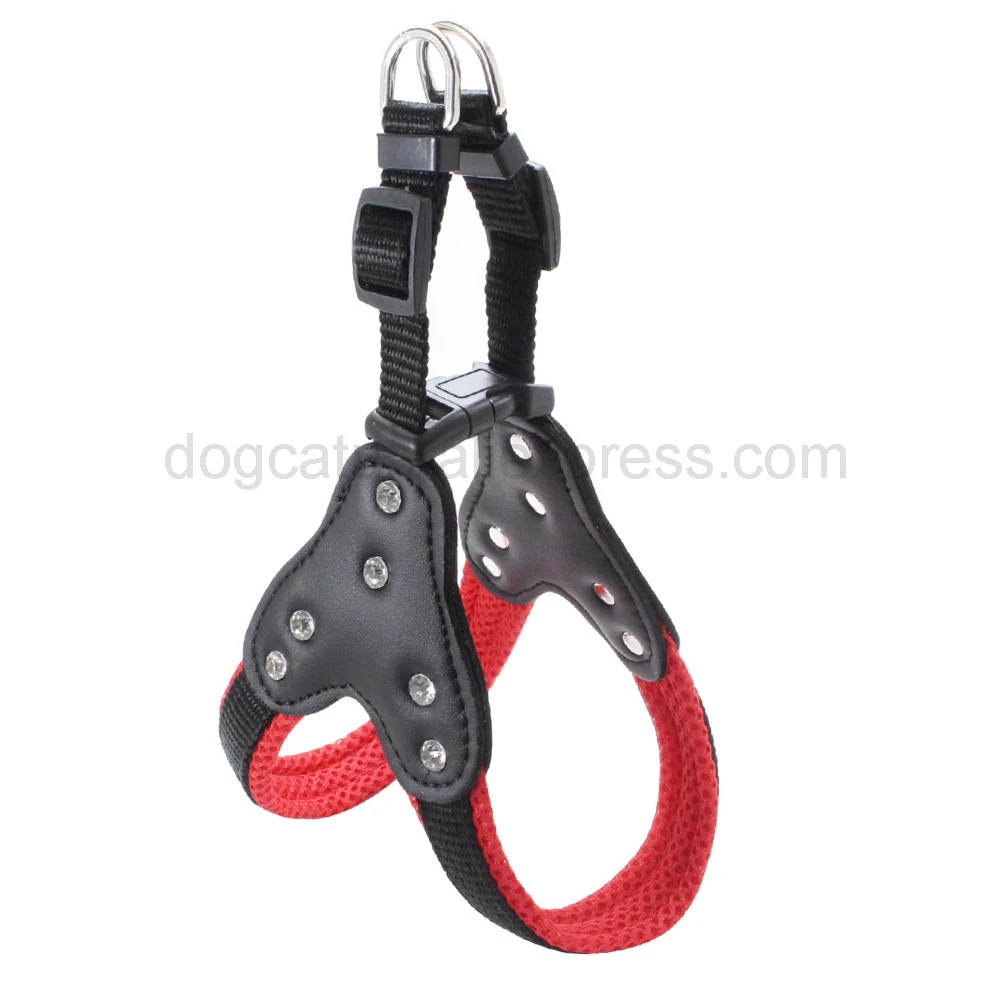 IMG_4602 