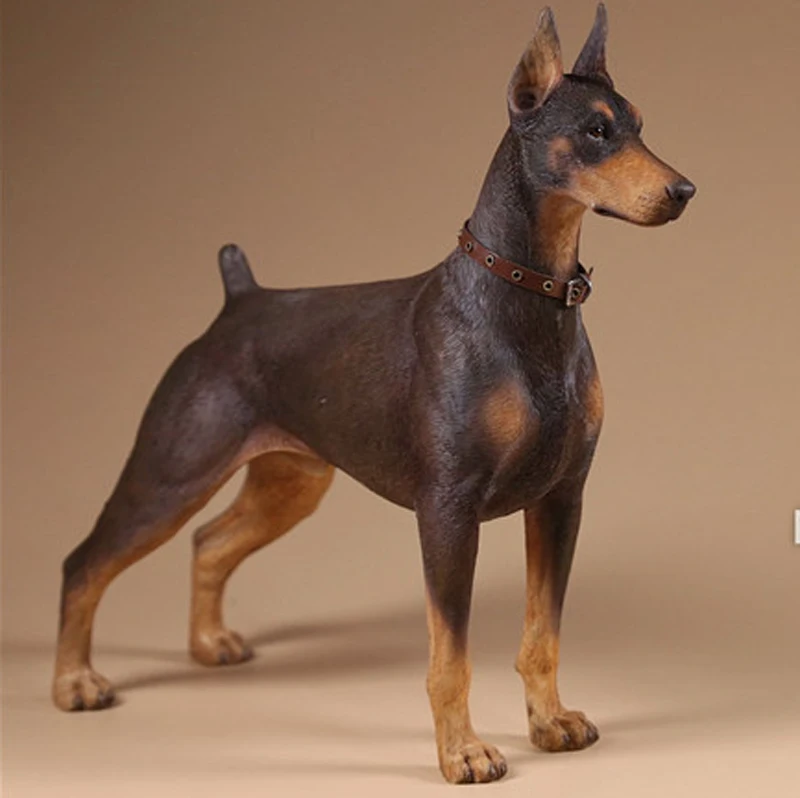 Модель Mnotht 1/6 в масштабе Doberman Pinscher, Коллекционная модель, игрушки из смолы, модель собаки для 12 дюймов, экшн-фигурка, аксессуары, игрушки - Цвет: M001