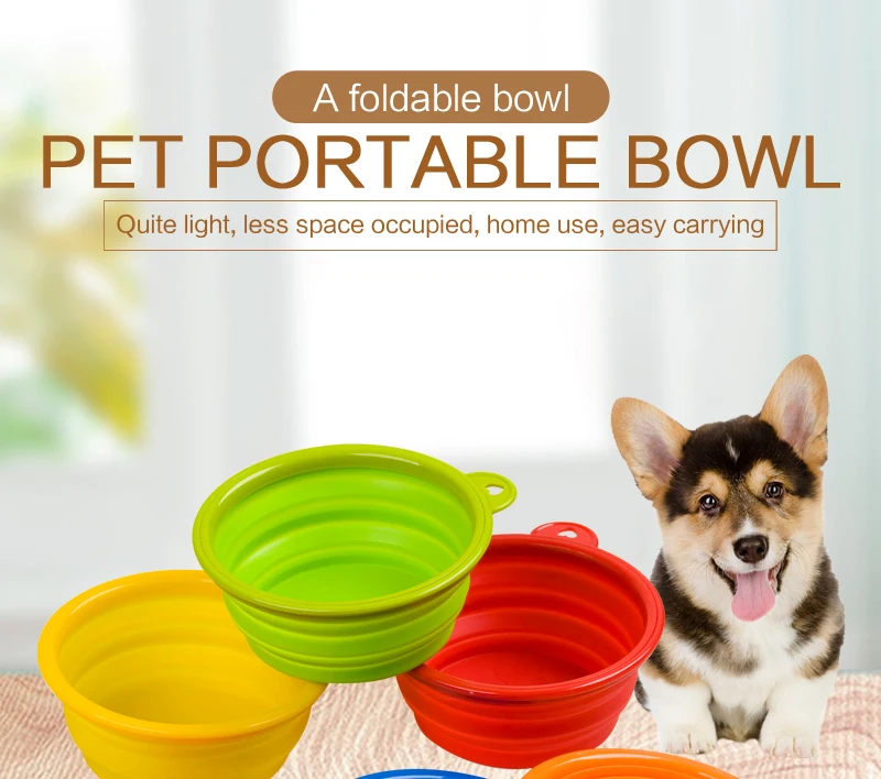 1 cat bowl
