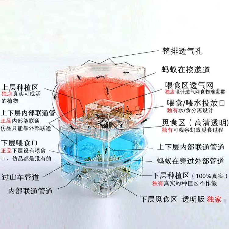 2 слоя муравьев фермерский дом акриловый Муравьиное гнездо квадратный муравьиный замок Вилла домашнее животное рептилия дом муравьиный холм двухслойный с трубным соединением
