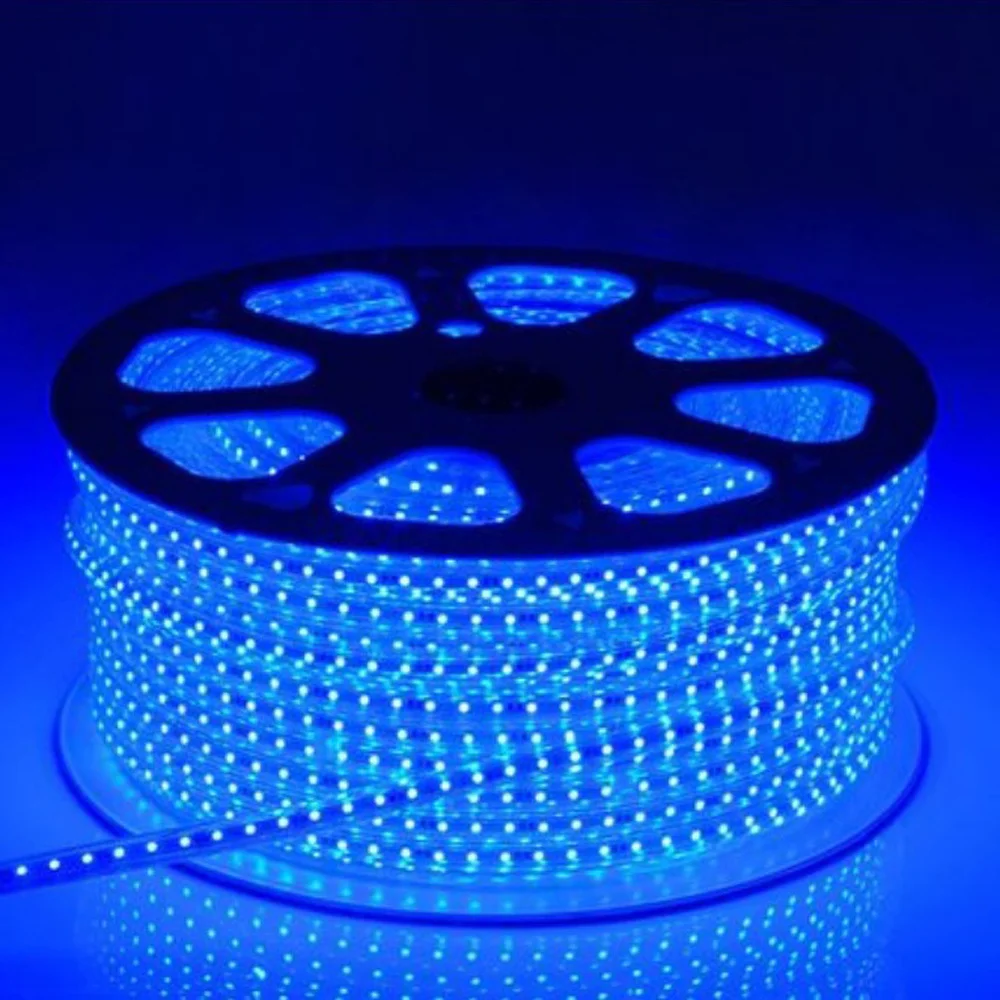 Гибкая СВЕТОДИОДНАЯ лента SMD 220 240 2835 В 1 25 м с европейской вилкой холодный теплый