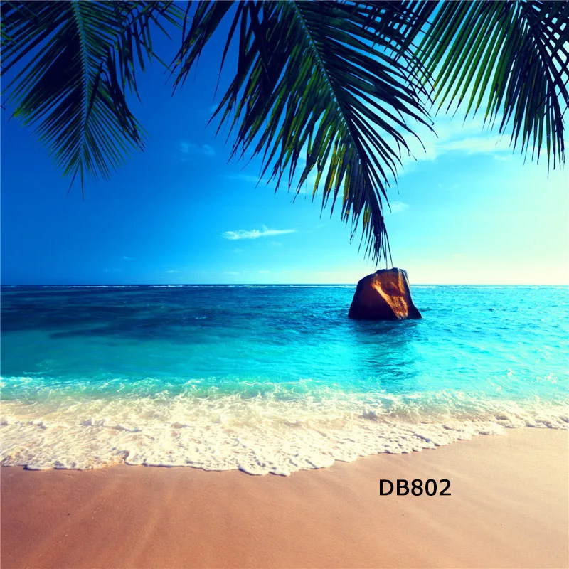 DB802