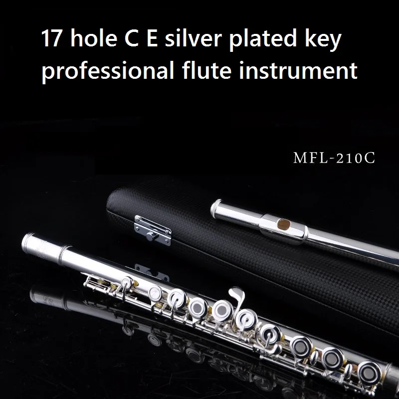 Free shipping flute authentic instrument 17 keys professional flute