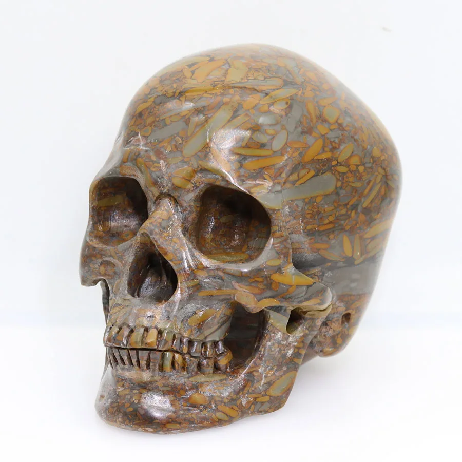5.8" 2312g BAMBOO JASPER Handmade Carved Crystal Skull Realistic Healing Furnishing Articles Figurine TF53 | Дом и сад