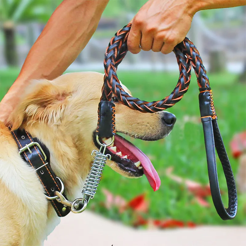 Chain leads for big dogs Clearance