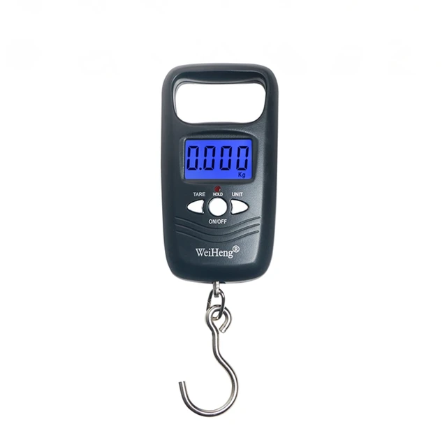 110lb/50kg Fish Scales Backlit LCD Portable Electronic Hook Digital Fishing  Scale Hanging Scale with Measuring Tape Ruler - AliExpress