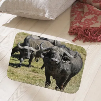 

Quality printed 40x60cm cozy tatami floor mat hallway doormat suede Welcome entrance door mat anti-slip water Water absorption