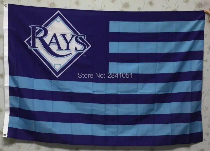 Tampa Bay Devil Rays Team Stripes Team American Outdoor Indoor Hockey