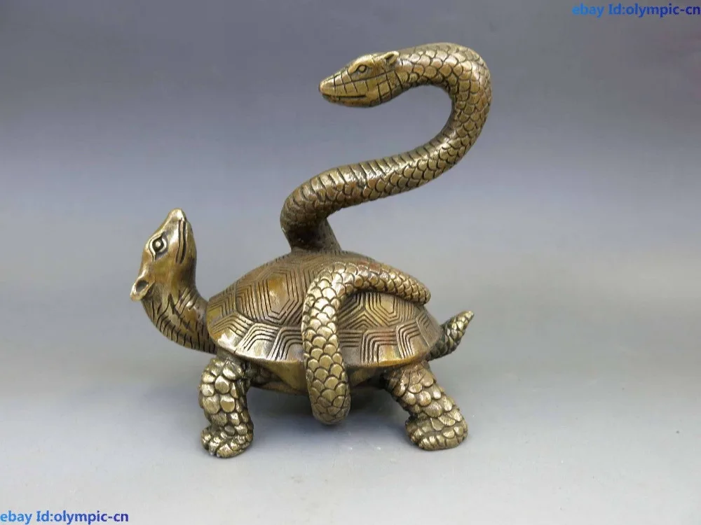 Змея и черепаха животные. Змея и черепаха животные. Змея и черепаха животные. Змея и черепаха животные. Рептилии это пресмыкающиеся.