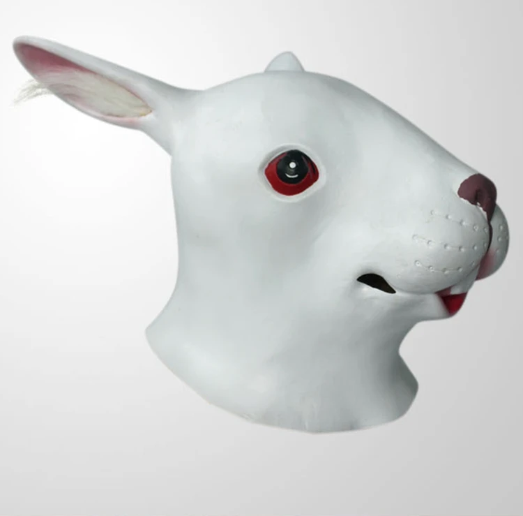 Rabbit mask13
