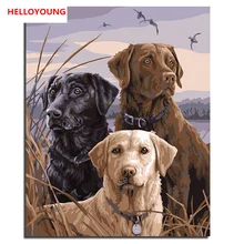 HELLOYOUNG DIY Ручная роспись маслом африканская Львиная собака цифровая живопись по номерам Масляные картины китайские картины-свитки