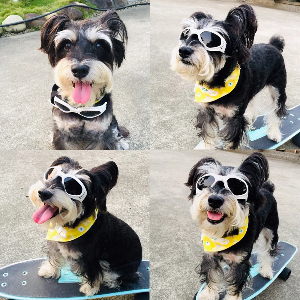 Lovely Pet Cat Glasses Dog Glasses Pet Products for Little Dog Cat Eye-wear Dog Sunglasses Photos Pet Accessories