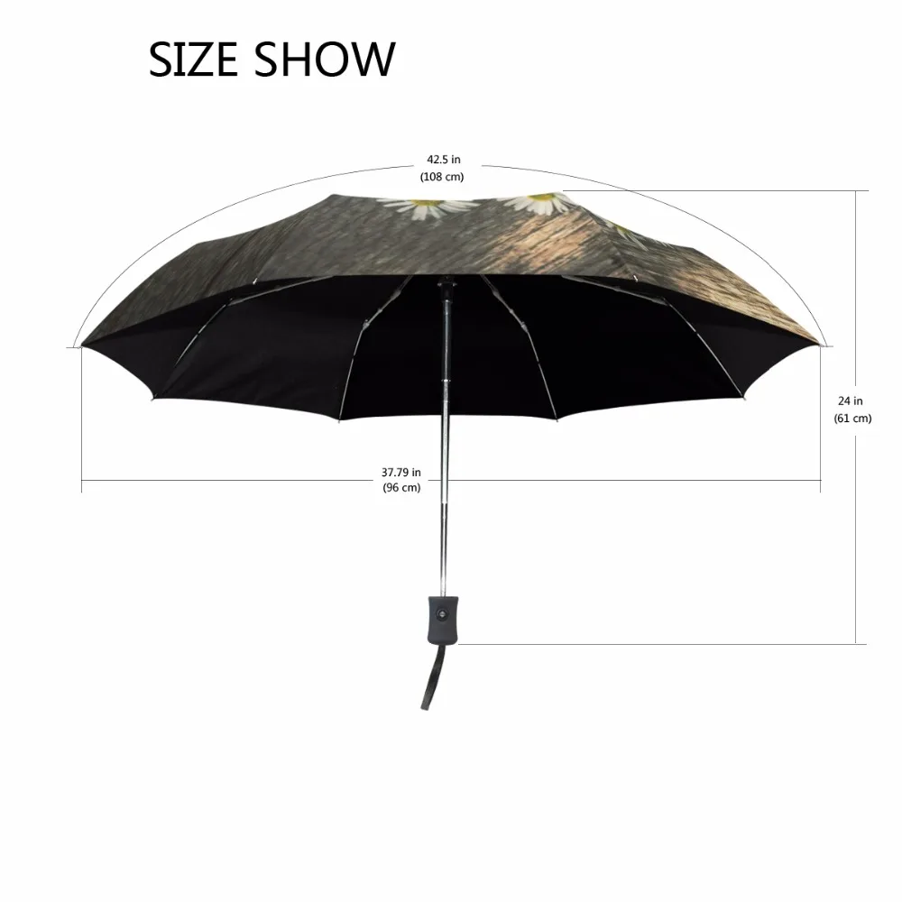 g2229503p127c141s212_2