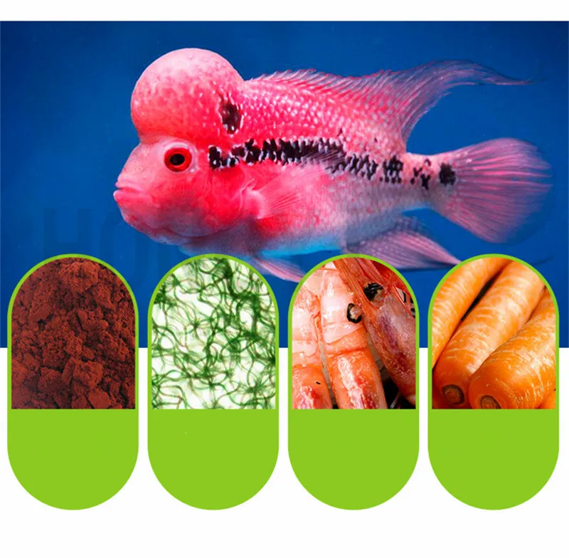 Depontaqua 1 шт. тропический корм для рыб супер горбы и цвета Улучшенная пища для flowerhorn рыбы rajah cichlasoma Улучшенная еда