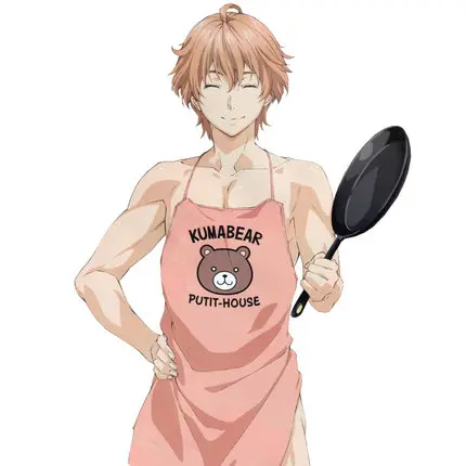 Продовольственные войны! Аниме Shokugeki no Soma Isshiki Satoshi Косплей Костюм фартук унисекс