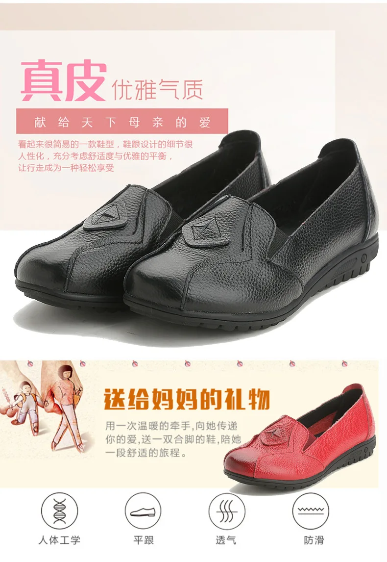 8104462693_615609187