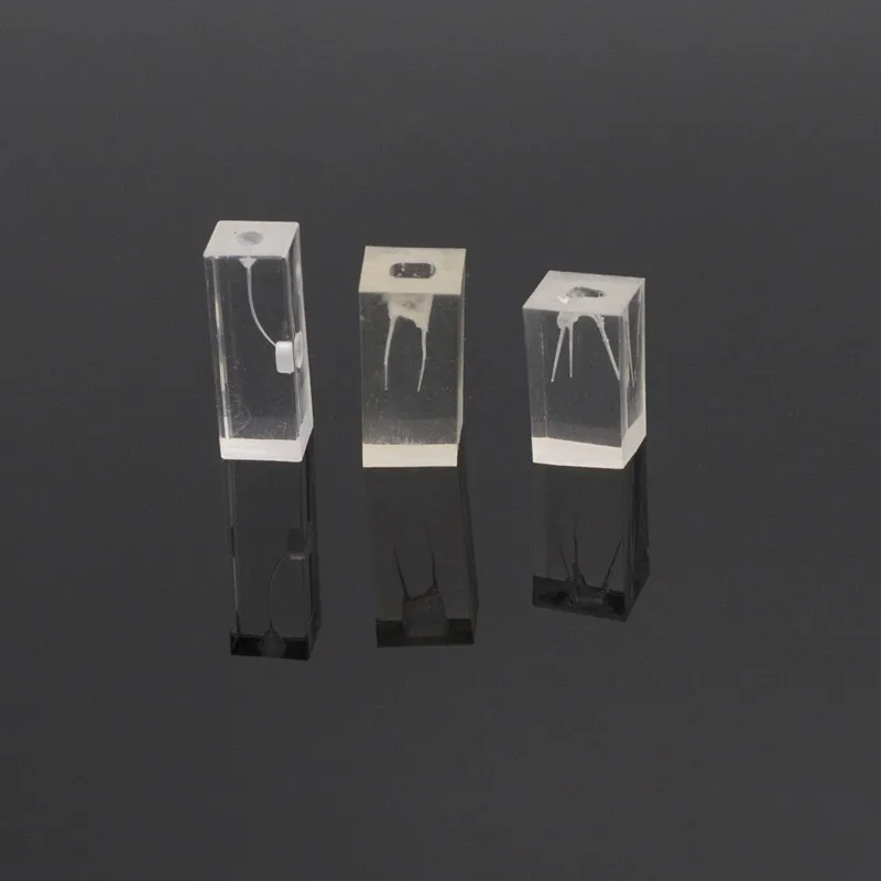 

Dental Resin Endodontic Student Study Teaching Practice Operation Model For Dentist Lab