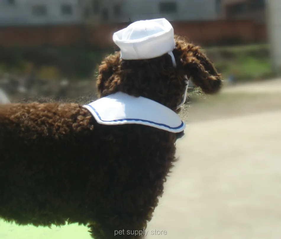 Европейские и американские Горячие продукты собачий ошейник раздел шляпа темно-синий костюм порода собак Тэдди бишонфризе Китти соответствующий