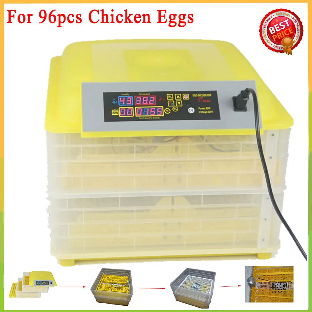 incubator for chicken eggs temperature