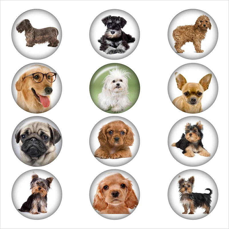 

Hot Fashion DOG 12pcs snap button Round photo glass cabochon demo flat back Making findings DA1220