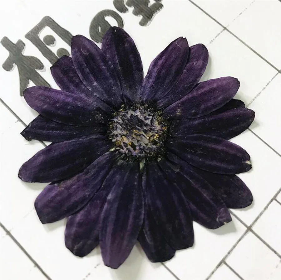 (SF)-3