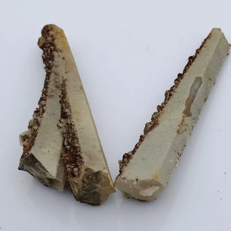 conew_img20190421084416