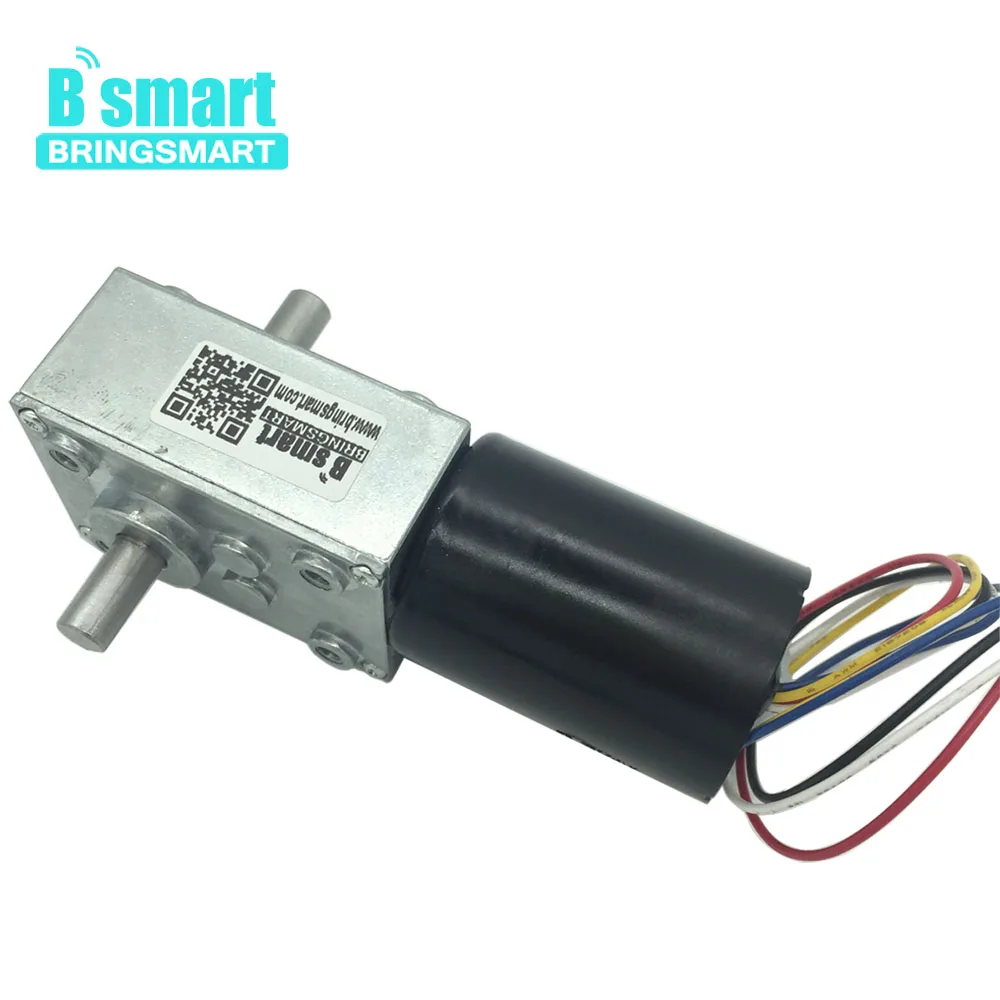 

Bringsmart Brushless Worm Motor 5840-3650S DC 24v Reversed Output Turbine Motor 16rpm Double Shaft Self Locking Machine