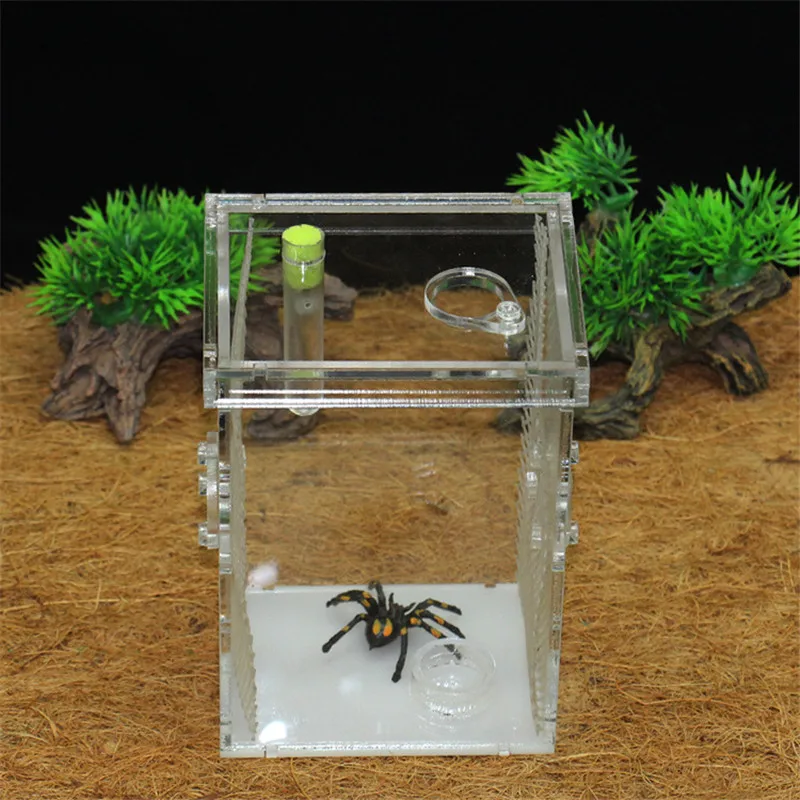 Reptile breeding box (5)