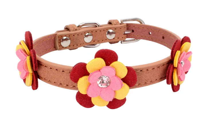 dog collars (8)