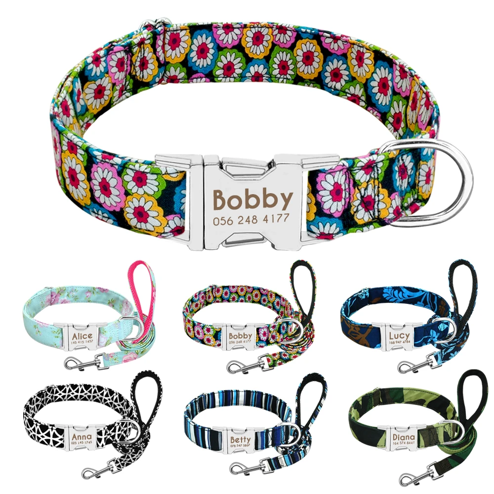 puppy dog collar and lead