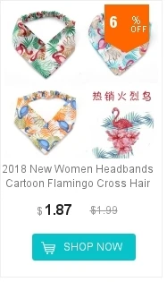 dianxiaobao
