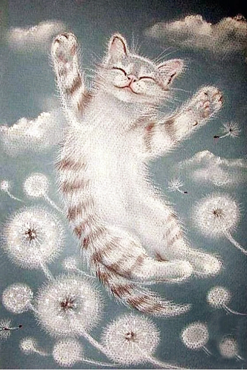 CANX40016112猫60x90