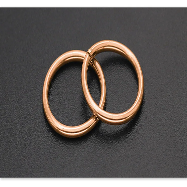 1 шт. титановое G23 шарнирное сегментное кольцо 16 г розовое золото пирсинг носа Лабрет губы для соска, для септума ушной хрящ кликер ювелирные изделия для тела
