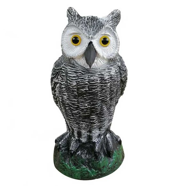 55 Mendeskripsikan Burung Hantu Dalam Bahasa Inggris HD