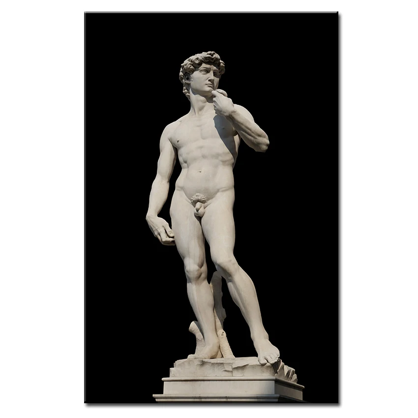 

Replica Michelangelos David black background wall Picture For Room oil painting wall art Print wall painting No Framed