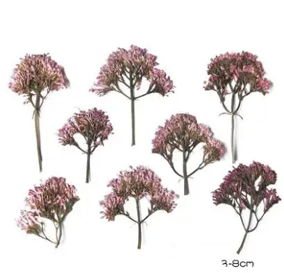 

10pcs/lot With branches Dried Flowers Preserved Flower Pressed Flower for student diy Candle Making card