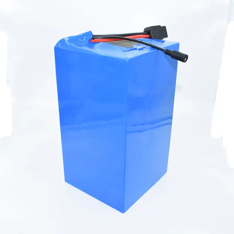 HXX Customize 48V 2000W Power Lithium Battery with 50A BMS PCB Deep Cycle for Electric Bicycle 